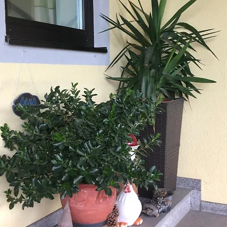 Gaestehaus Lumesberger アパート グライン